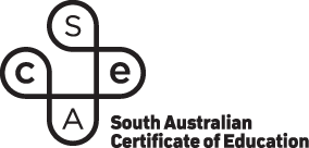 Sace Certificate Logo